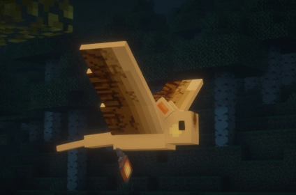 Mod image