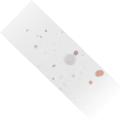 Sparks