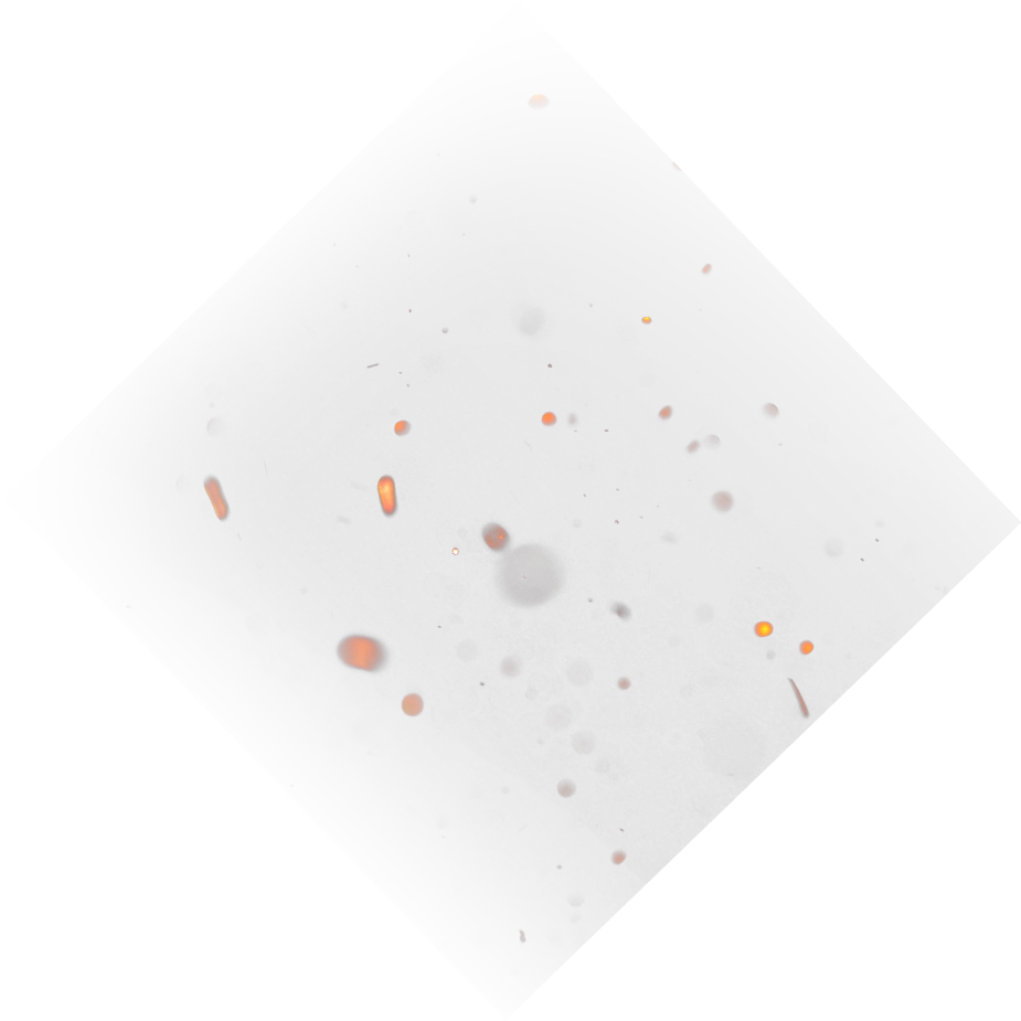 Sparks