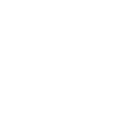 Wild Card